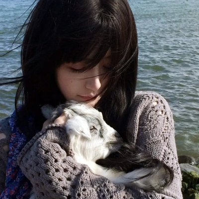 山中有些小精灵
